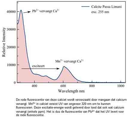 calciet fluo spec